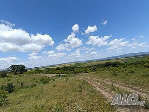 image_6