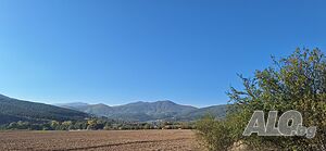 image_25