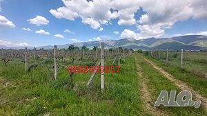 image_3