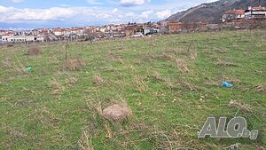 image_10
