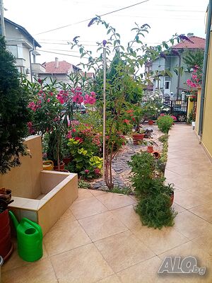 image_5