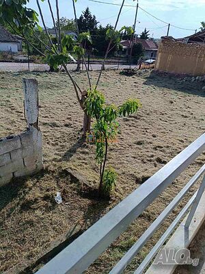 image_11