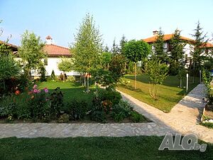 image_7