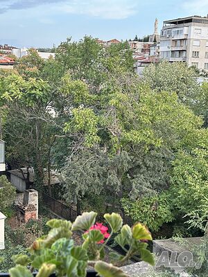 image_9
