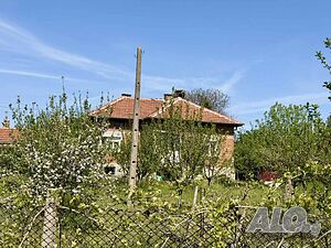 image_9