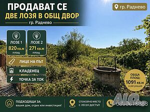 Лозе гр. Раднево