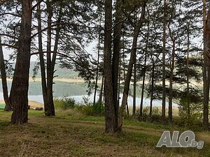 image_10