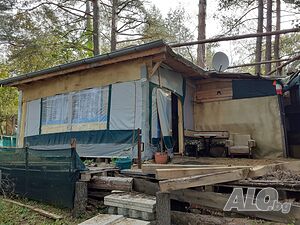 image_11