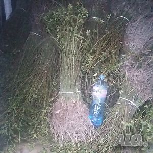 image_10