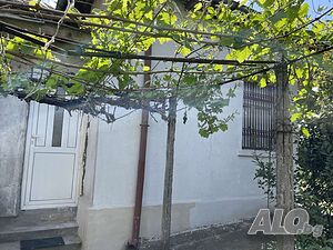 image_12