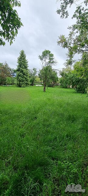 image_8