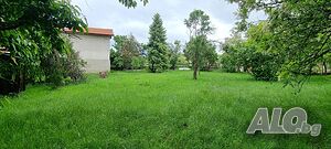 image_10