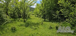 image_8