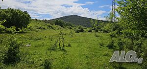 image_10