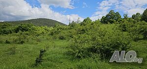 image_11