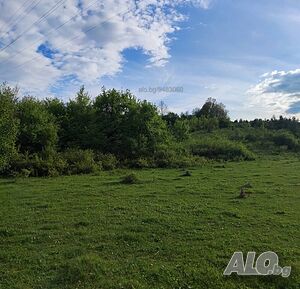 image_14