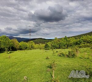 image_15