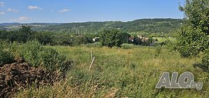 image_8