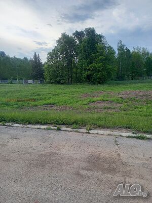image_5