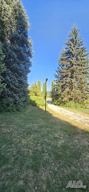 image_9
