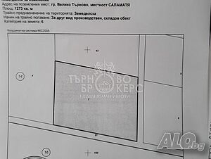 image_6
