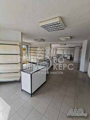 image_11