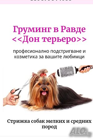 Стрижка собак