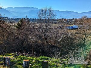 image_22