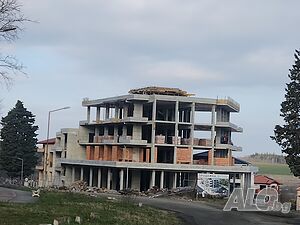 image_8