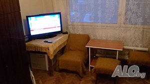 Стая в Дружба1