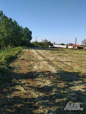 image_7