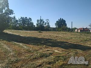 image_10