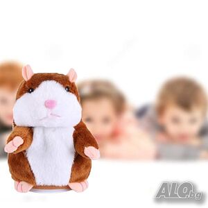 image_3