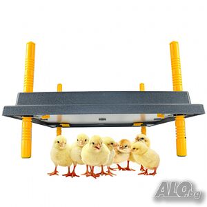 image_4