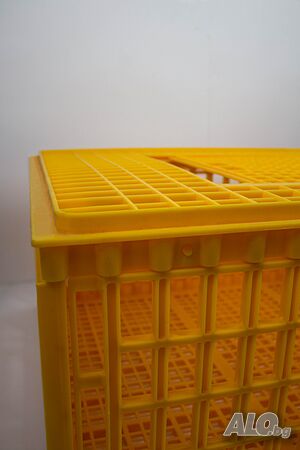 image_7