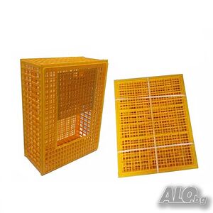 image_8