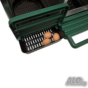 image_4