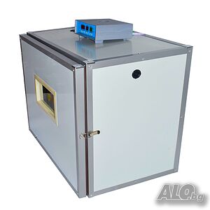 image_2