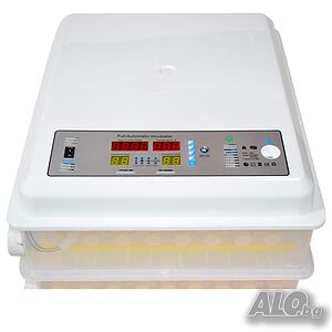 image_2