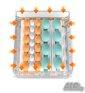 image_6