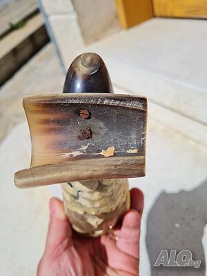 image_8