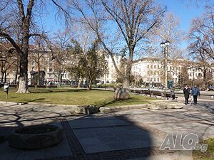 image_15