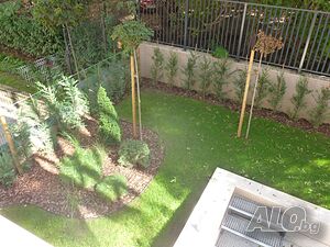 image_5