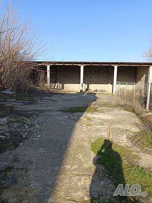 image_7