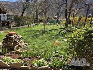 image_11