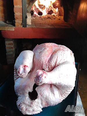 image_7
