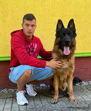 image_6