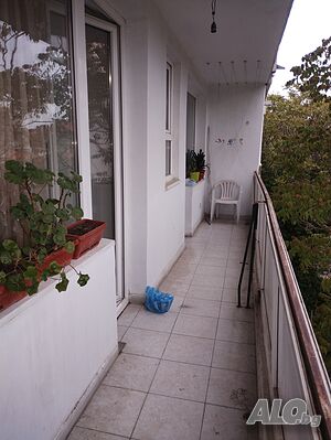 image_13