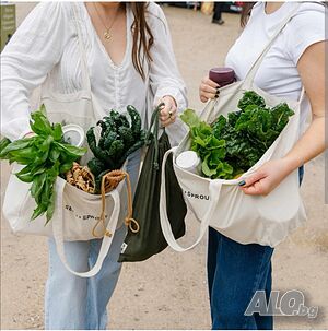 Личен асистент, професионално почистване и битови услуги в София