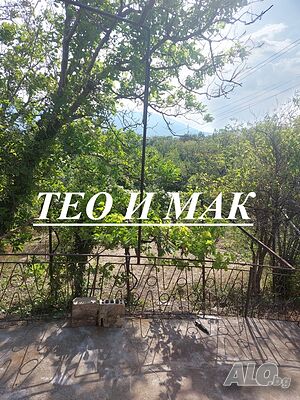 image_5